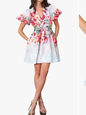 Watercolor Floral V-Neck Puff Sleeve Mini Dress - Multi Pink